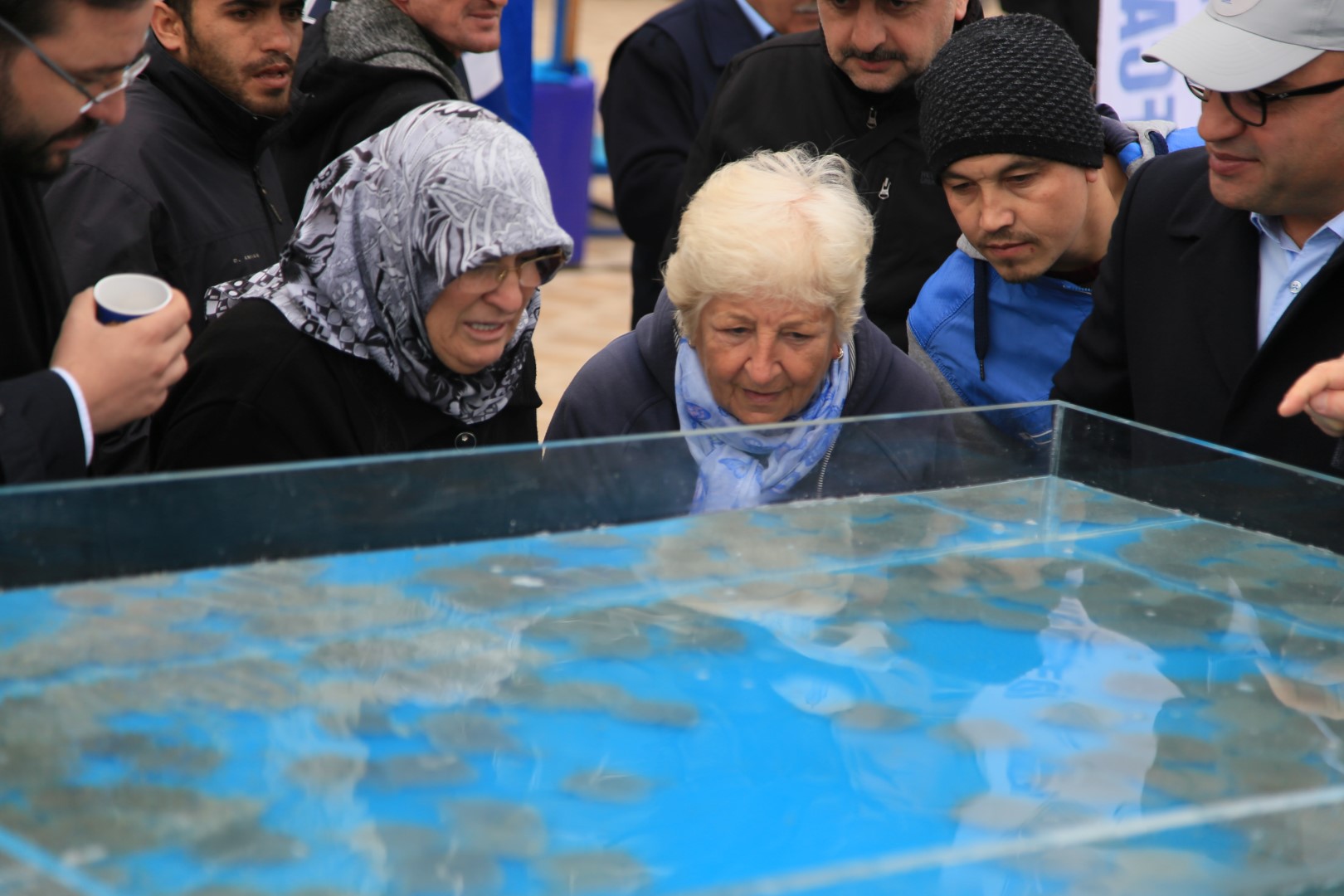 6 bin balık Körfez’e salındı