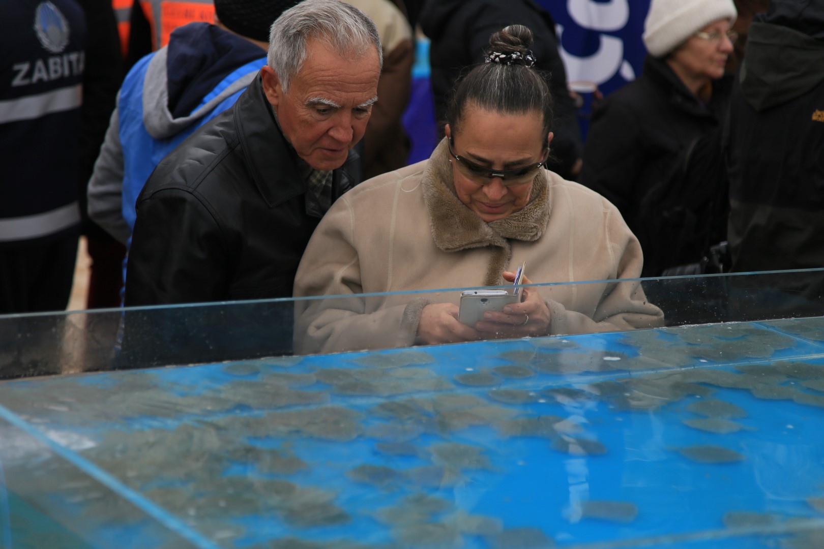 6 bin balık Körfez’e salındı
