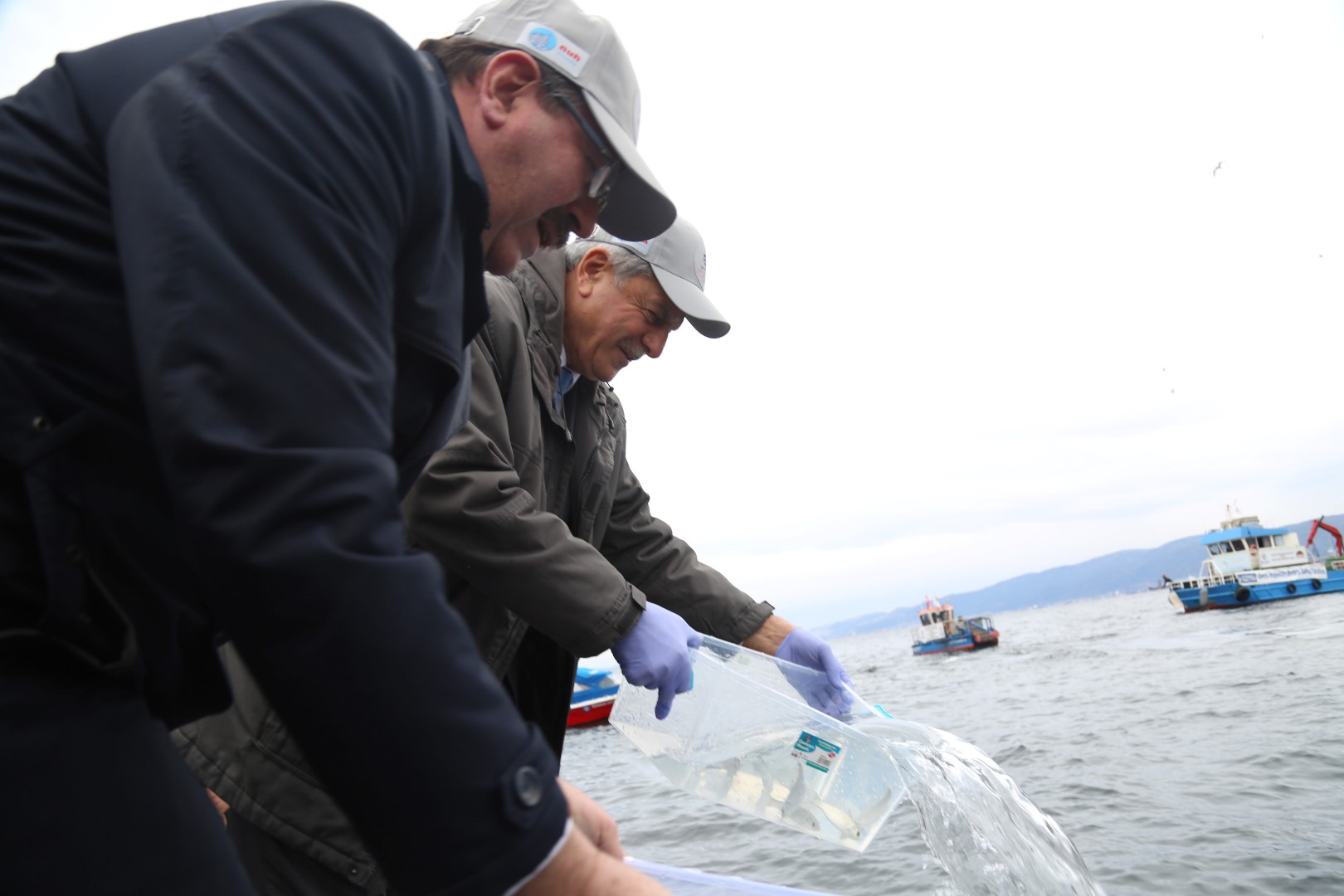 6 bin balık Körfez’e salındı
