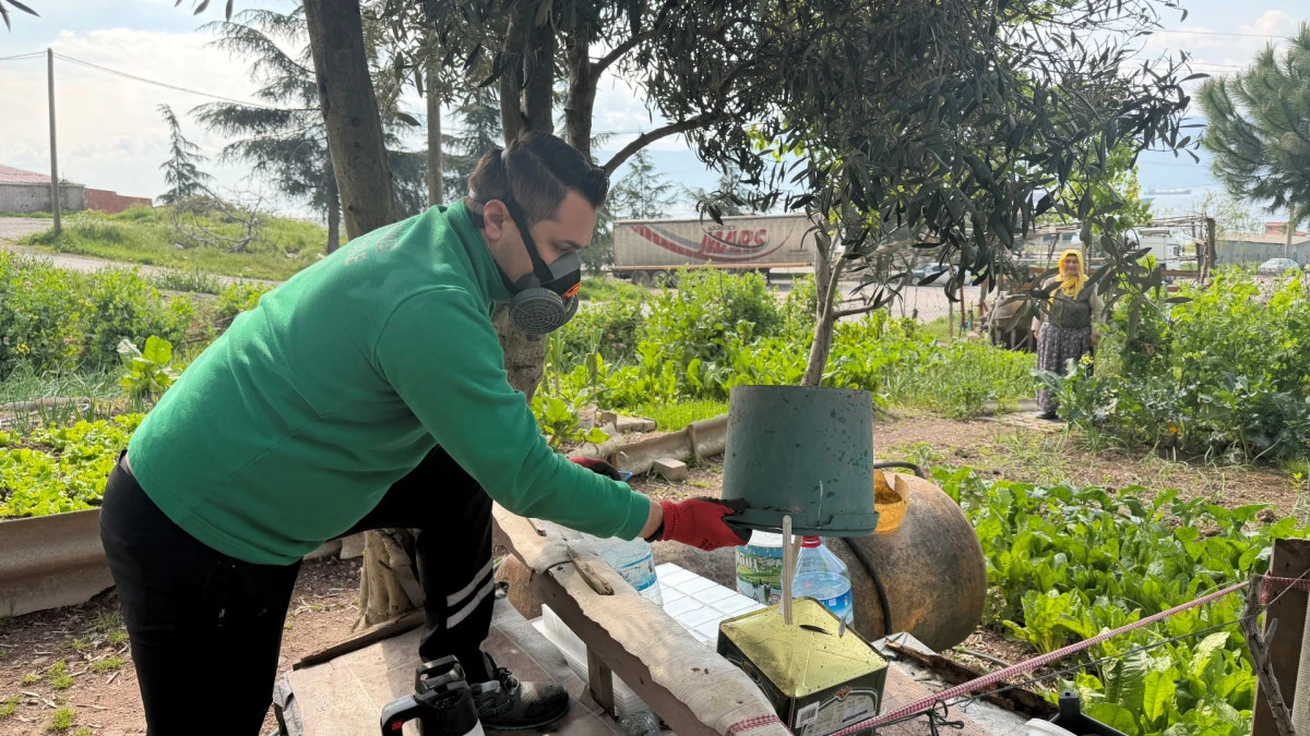 100 kişilik dev ekip, vekt&ouml;rle m&uuml;cadele i&ccedil;in sahada