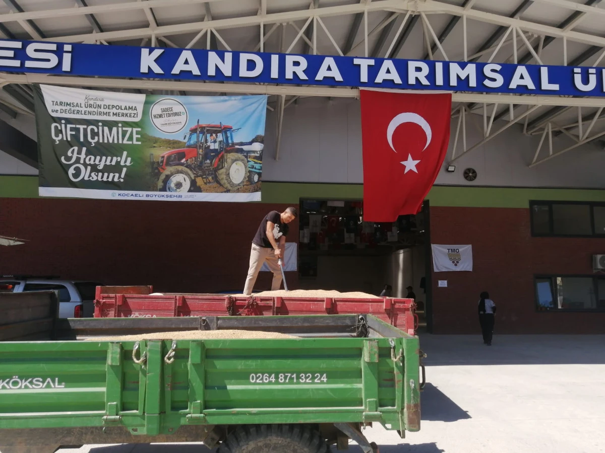 Bu merkez Kandıra&rsquo;da &ccedil;ift&ccedil;inin y&uuml;z&uuml;n&uuml; g&uuml;ld&uuml;r&uuml;yor;  B&uuml;y&uuml;kşehir&rsquo;den &uuml;reticiye 10 milyon TL&rsquo;lik ek gelir   