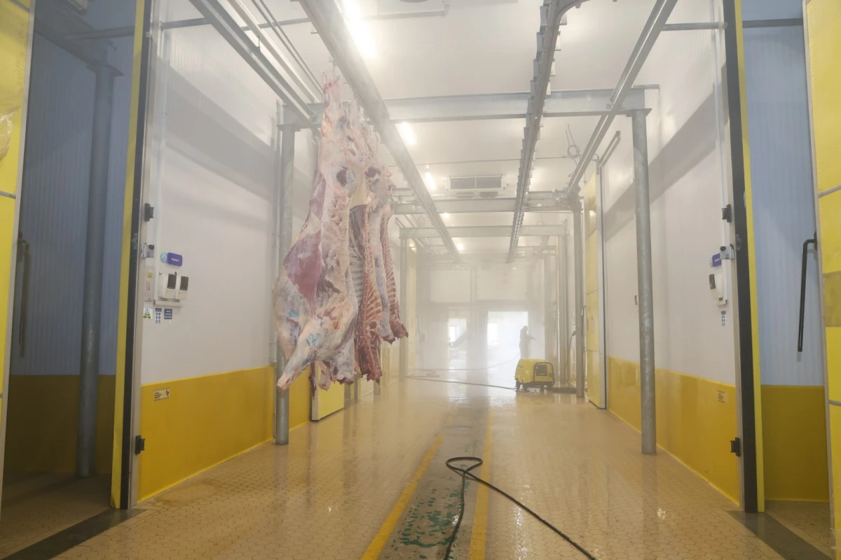 B&uuml;y&uuml;kşehir Mezbahası&rsquo;nda hijyenik ve helal kesim