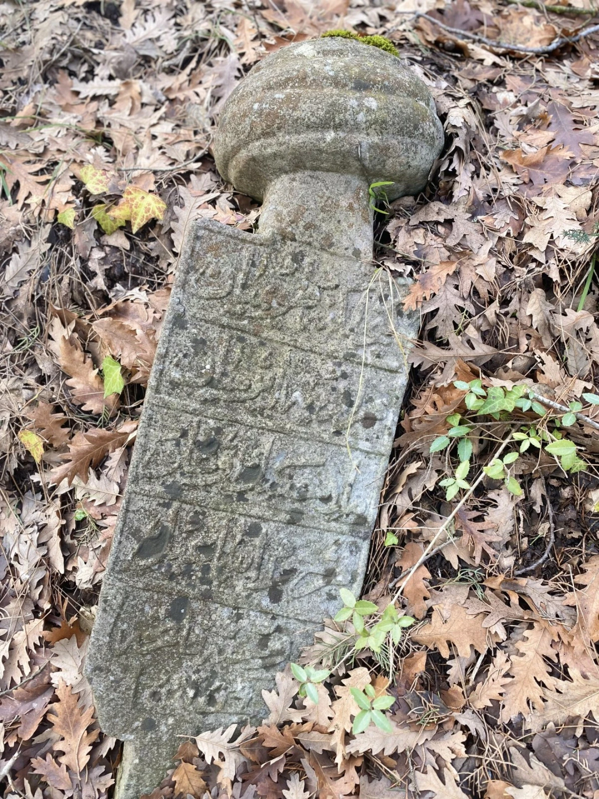 B&uuml;y&uuml;kşehir&rsquo;den ecdat mirasına vefa