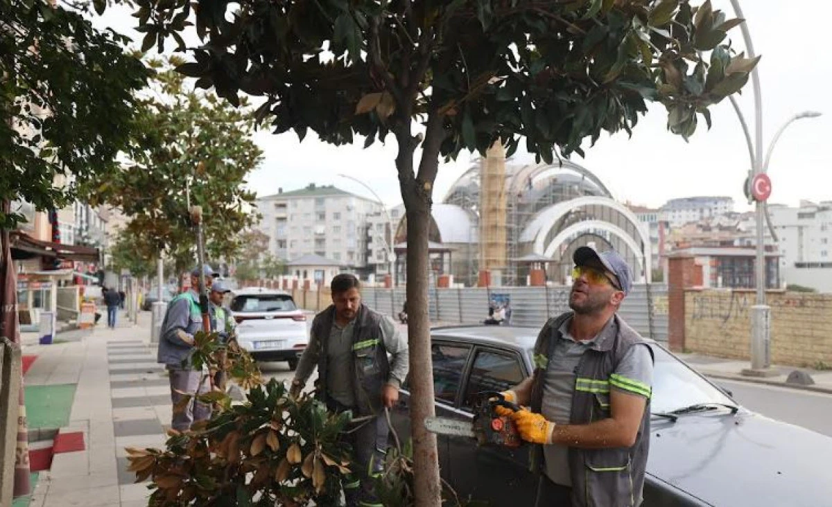 Çayırova’da mevsimlik budama çalışmaları başladı
