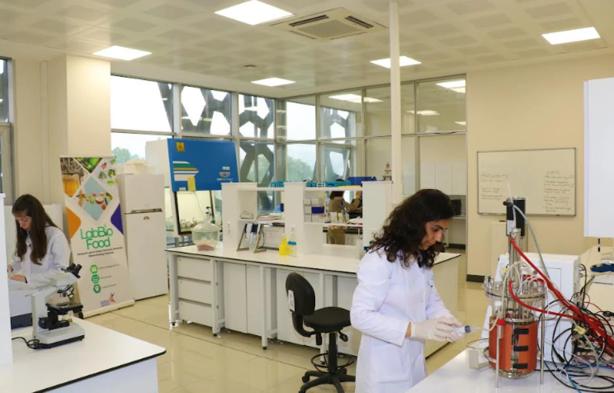 GT&Uuml; 2025 Y&Ouml;K Raporunda Araştırma ve Değişim Lideri