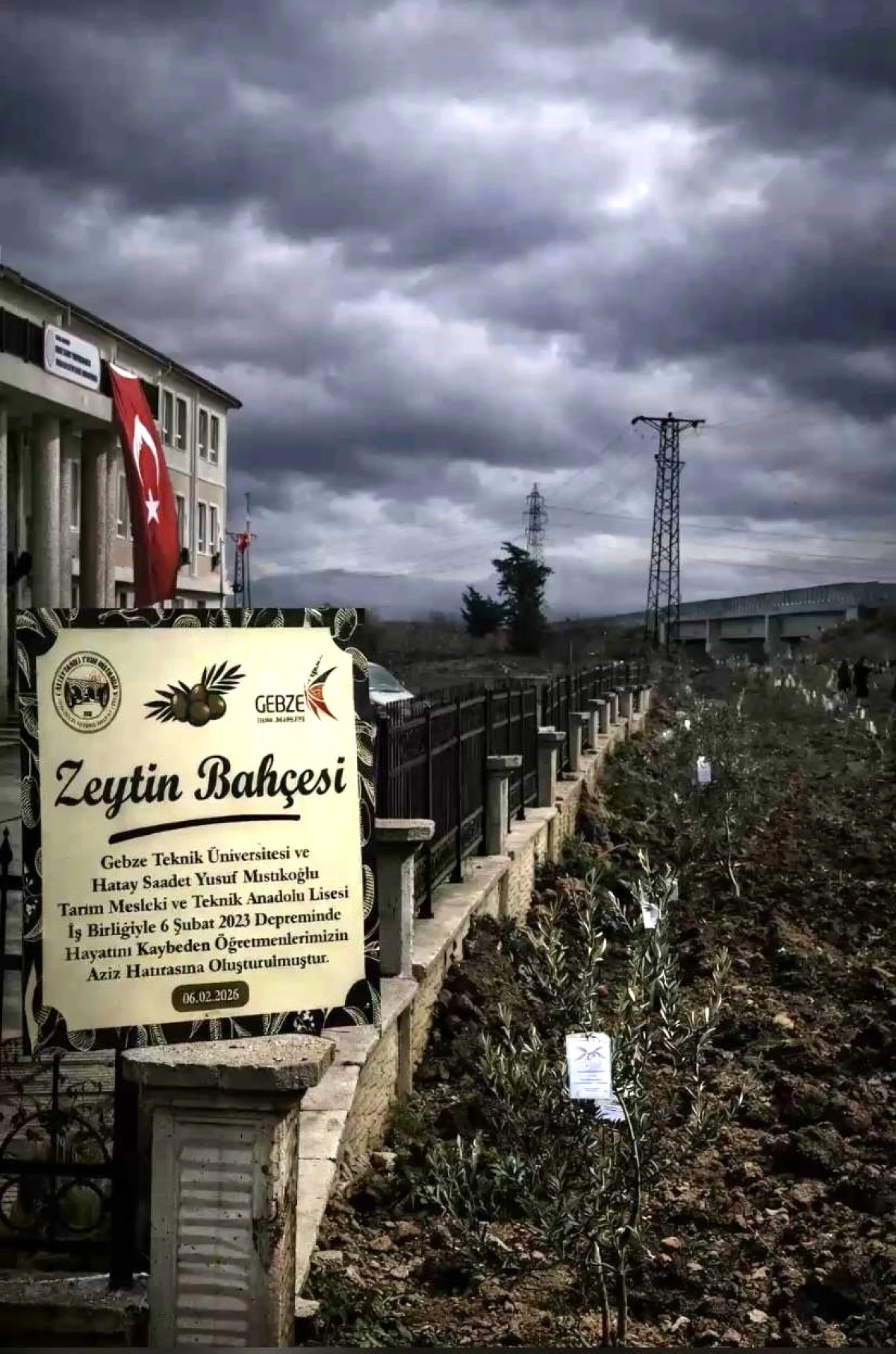 Hatay&rsquo;a Depremde Yitirilen &Ouml;ğretmenler İ&ccedil;in Zeytinlik