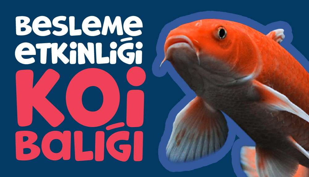 Hayvanat bahçesinde ilginç etkinlik