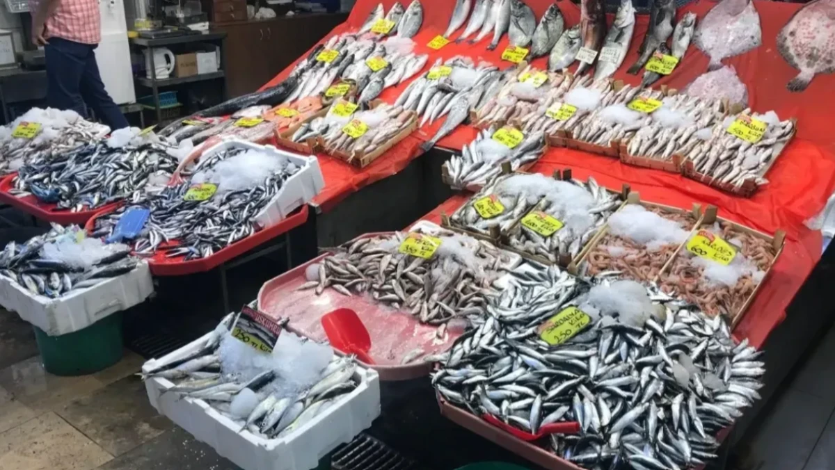 İzmit balık pazarında hangi balık kaç TL? İşte Kocaeli'de güncel balık fiyatları