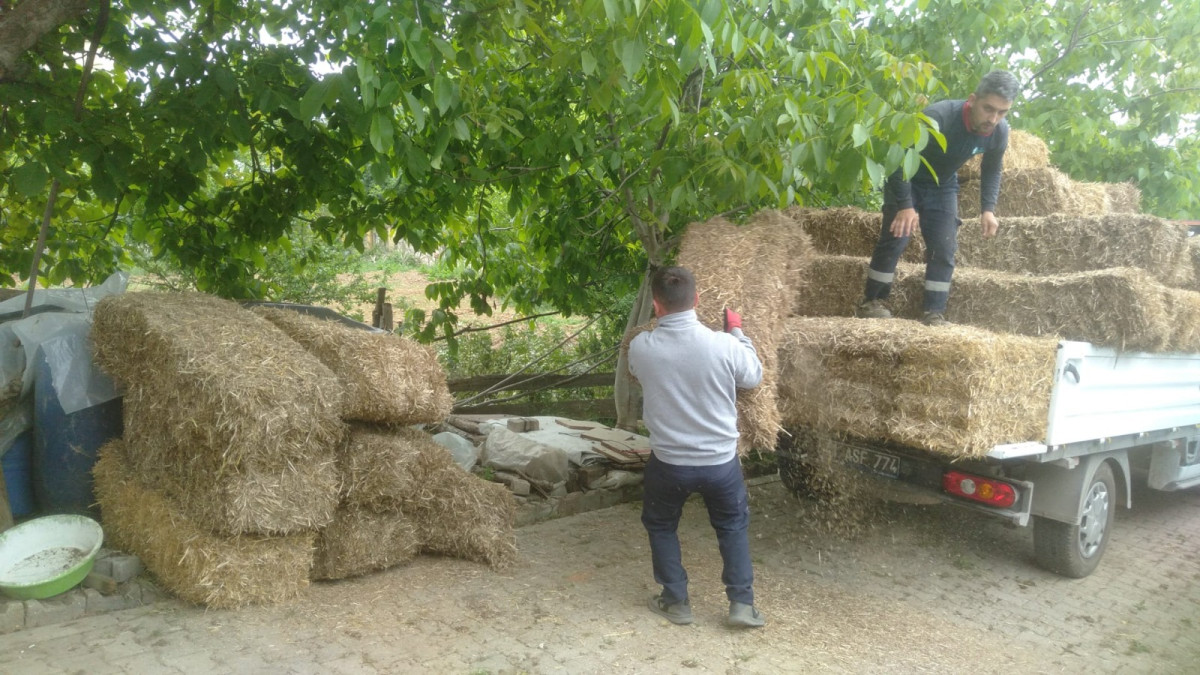 İzmit Belediyesi, buğday tarlasından elde ettiği saman balyalarını üreticilerle paylaşıyor