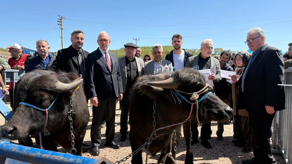 Kocaeli&rsquo;de hayvancılık, B&uuml;y&uuml;kşehir&rsquo;le daha kolay
