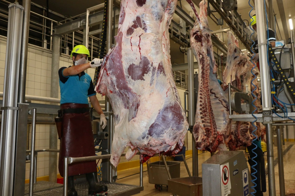 Kurban kesim başvuruları 11 Mayıs&rsquo;ta başlıyor