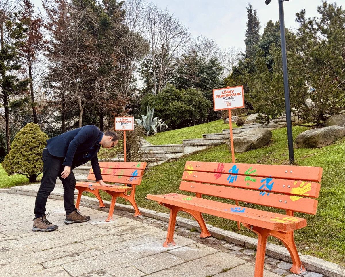 L&Ouml;SEV&rsquo;DEN G&Ouml;N&Uuml;LL&Uuml;Ğ&Uuml; SOKAĞA TAŞIYAN FARKINDALIK PROJESİ