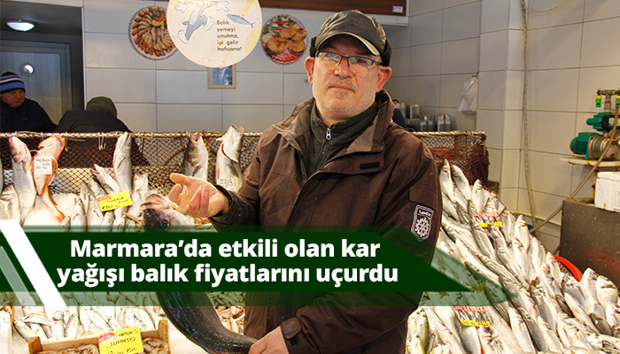 Marmara’da etkili olan kar yağışı balık fiyatlarını uçurdu
