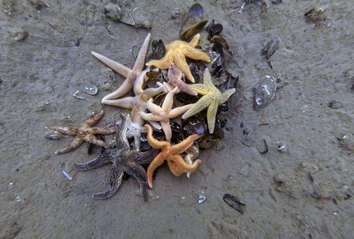 Mek&acirc;nın sahipleri geri d&ouml;nd&uuml;