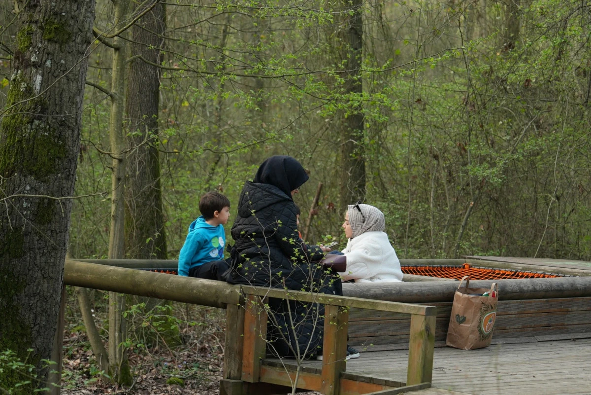 Orman K&uuml;t&uuml;phanesi&rsquo;nde okuma keyfi bambaşka