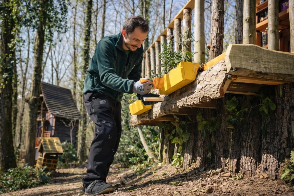 Ormank&ouml;y yeni y&uuml;z&uuml;yle ziyaret&ccedil;ilerini bekliyor