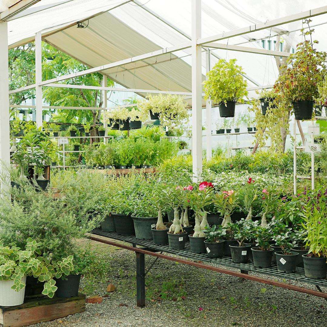 Peyzaj Sektörü İzmir'de Buluşuyor