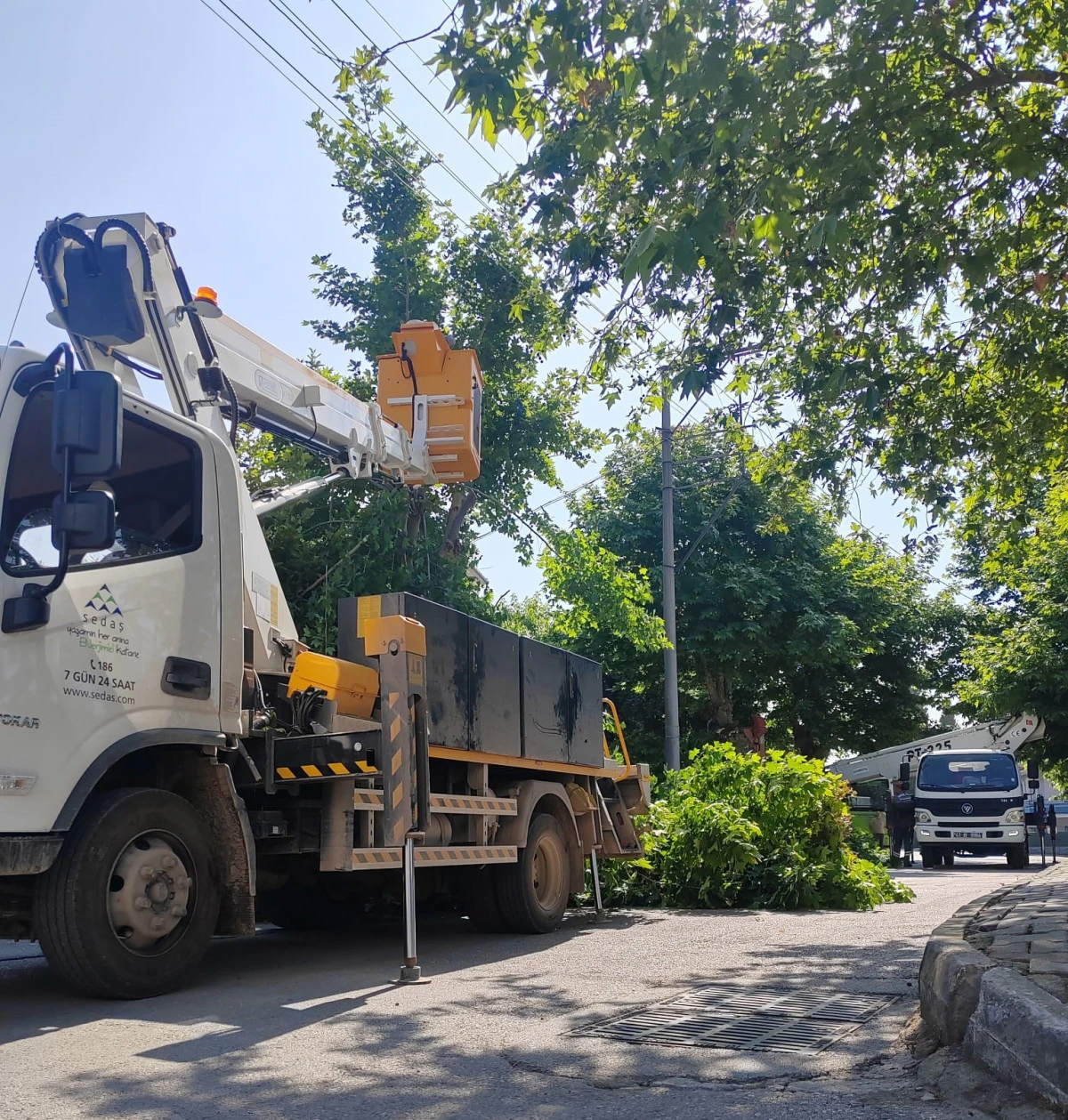 SEDAŞ, Kocaeli’de Kesintisiz Enerji İçin Ağaç Budama Çalışmalarını Sürdürüyor