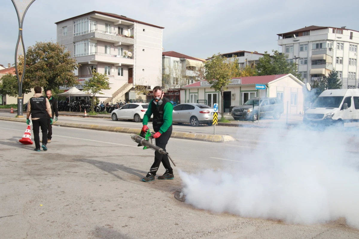 Sinekle mücadele sonbaharda da hız kesmiyor