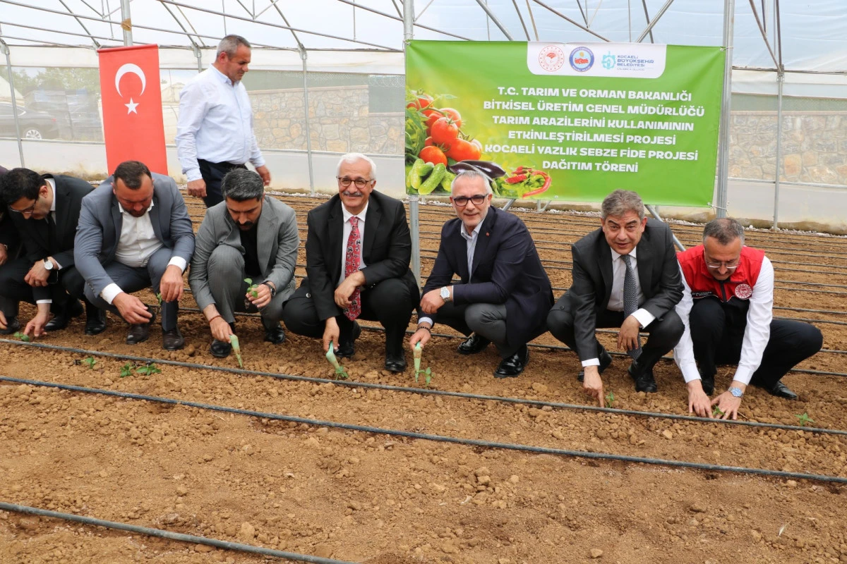 Tarlalar bereketleniyor, Kocaeli &ccedil;ift&ccedil;isi kazanıyor