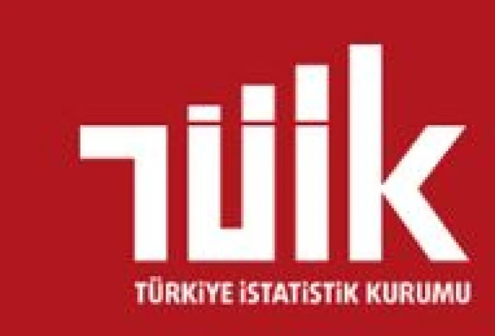 Taşıt-kilometre İstatistikleri, 2024