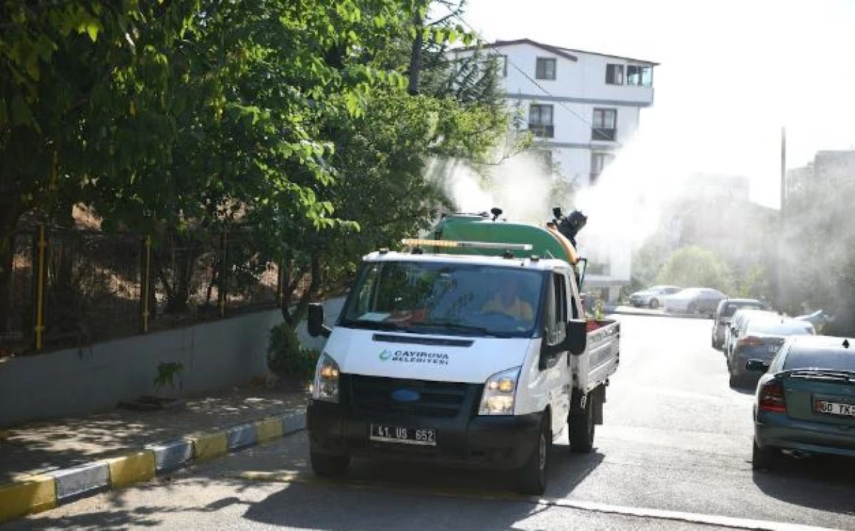 Vektörle mücadele aralıksız devam ediyor