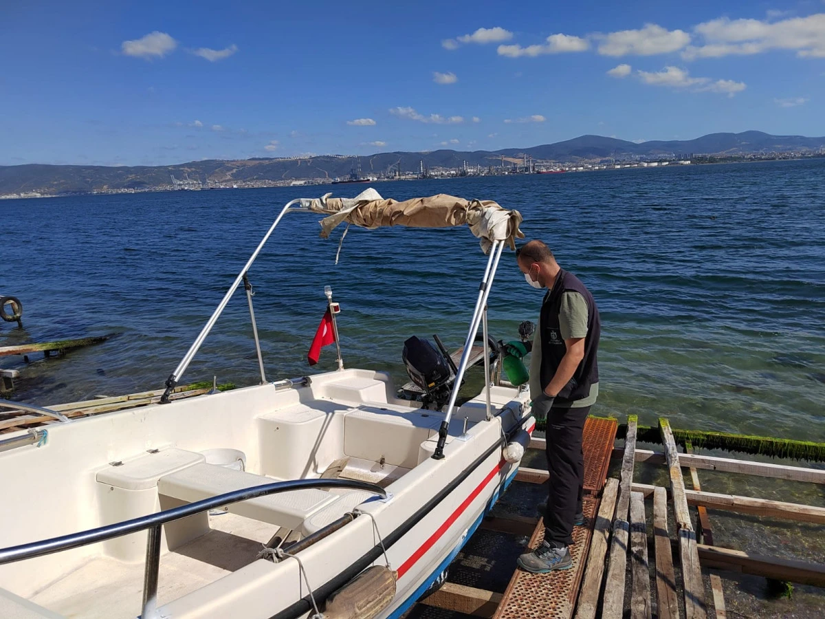 Vektörle mücadeleye güçlü destek