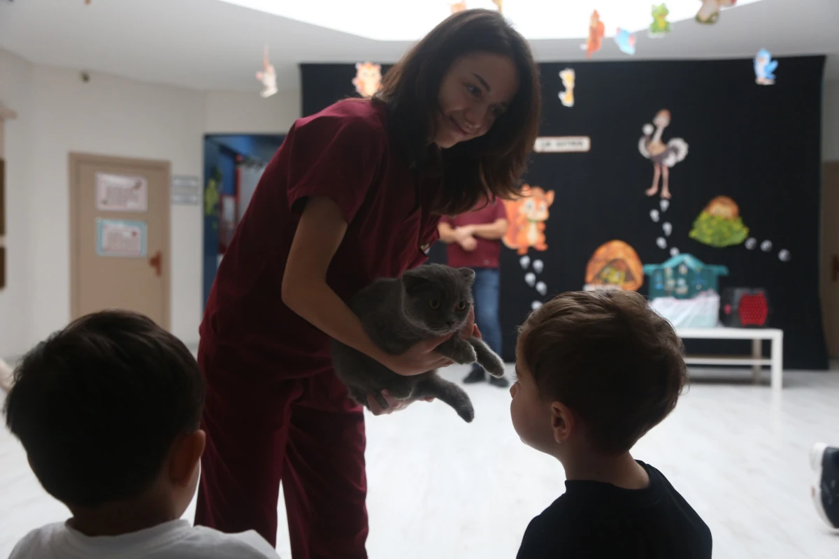 Veteriner olmak isteyen minikler, sokak hayvanları hakkında bilgi aldı