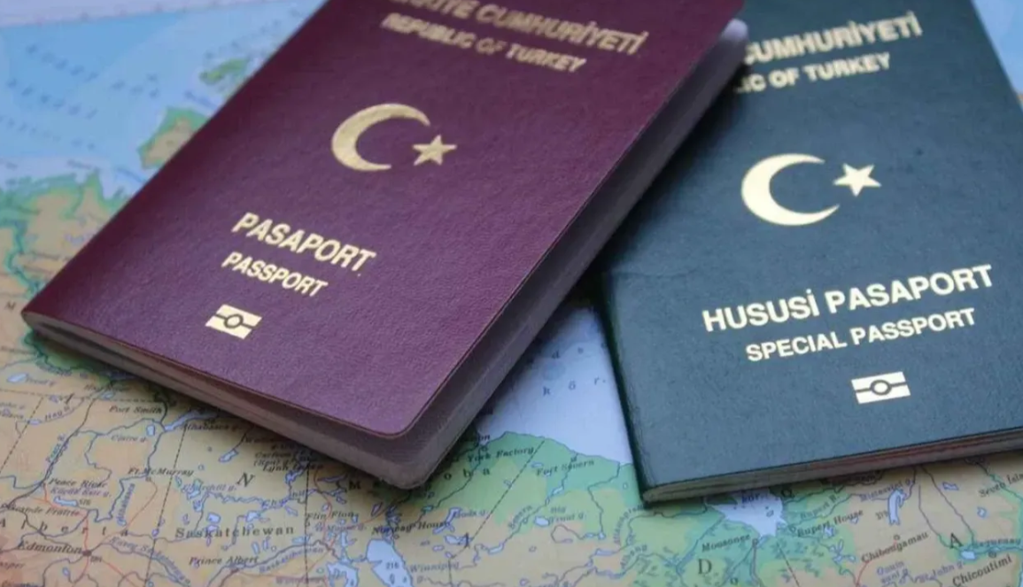 Vize krizi, Türklerin yabancı vatandaşlık talebini tetikledi